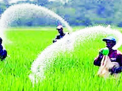 Urea perpetuates farmers' woes | युरियामुळे शेतकऱ्यांची कोंडी कायम