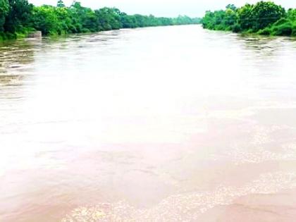 Continuous rain in Saleksa taluka | सालेकसा तालुक्यात संततधार पाऊस