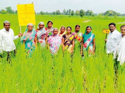 Ideal for the cultivation of botanical flora and flowers | रानभाजी व फुलांची जैवविविधता जोपासणाºया मंदा ठरल्या आदर्श