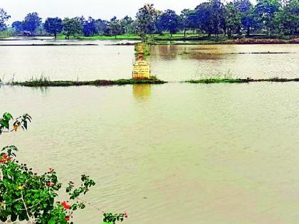 Five acres of land rotted | पाच एकरातील रोवणी सडली Five acres of land rotted | पाच एकरातील रोवणी सडली