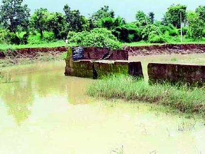 A bundle is a result of the harvest | बंधारा फुटल्यामुळे पीक गेले वाहून