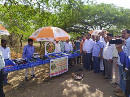 Start of direct sale from farmers to consumers in Kalvan taluka | कळवण तालुक्यात शेतकरी ते ग्राहक थेट विक्रीची सुरुवात