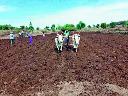 The seed took root in the womb of the black mother | बीज रूजलं रूजलं काळया आईच्या उदरात