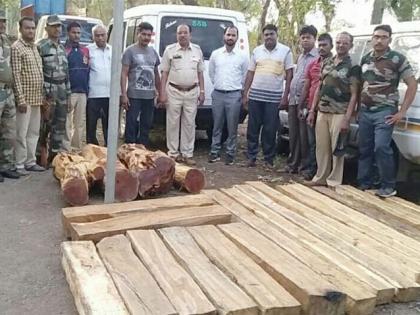 नवापुर तालुक्यातून तीन लाखांचे लाकूड जप्त