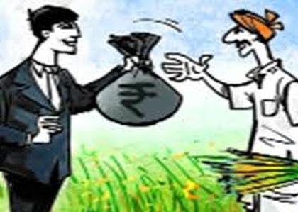 Crop loans should be collected at 105 places tomorrow | उद्या १०५ ठिकाणी पीक कर्ज मेळावे Crop loans should be collected at 105 places tomorrow | उद्या १०५ ठिकाणी पीक कर्ज मेळावे