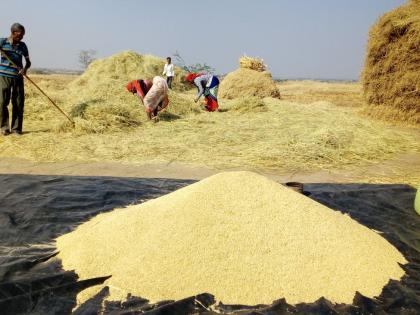 Only one thousand quintals of grains in the monopoly shopping center arrivals | एकाधिकार खरेदी केंद्रात अवघे हजार क्विंटल धान्य आवक