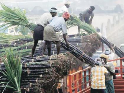 Shetty, Sadbhau's factory collaboration in the struggle for farmers' union | शेट्टी, सदाभाऊ यांच्या शेतकरी संघटनांच्या वर्चस्वाच्या संघर्षात कारखानदारीचे हाल