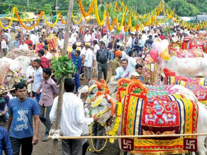 Mahadev Pusa Nandayale | महादेव पुसे नंद्याले, कर्जमाफीचा बजेट सांग तू मले