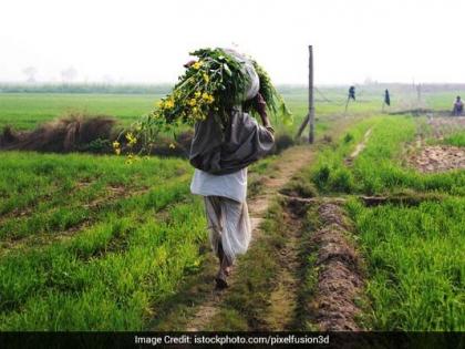 Capturing farm of crores ; Illegal lending network | पावणेदाेन काेटीच्या शेतीवर कब्जा; अवैध सावकारीचे जाळे