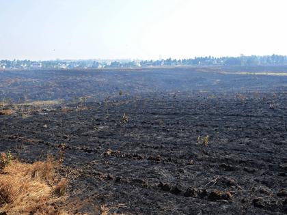 Comejle Oxygen Park before flowering due to neglect | दुर्लक्षामुळे फुलण्याआधीच कोमेजले ऑक्सिजन पार्क