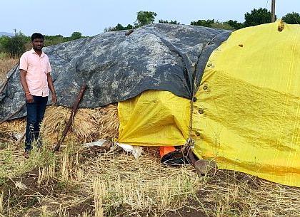 Unseasonal rain; The effect on an area of three thousand hectares | अवकाळी पाऊस; तीन हजार हेक्टर क्षेत्रावरील मृगबहर गळाला