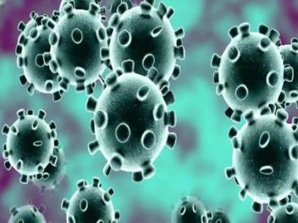 15 quarantines in contact with gonorrhea patients | कणकोरीच्या रुग्णाच्या संपर्कातील १५ क्वॉरण्टाइन