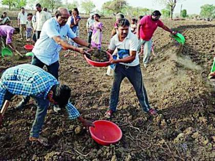 Judge the farmers who are deprived of poverty | पीकविम्यापासून वंचित शेतकऱ्यांना न्याय द्या