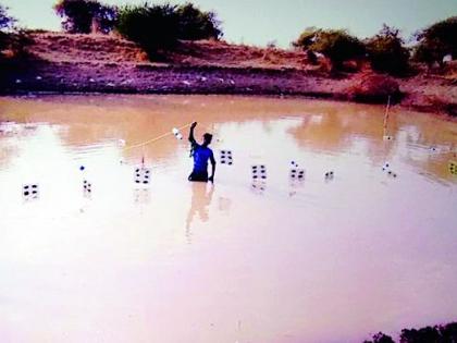 Mackerel farming, pearl grown in the field | खारपाणपट्ट्यात शिंपल्यांची शेती, शेततळ्यात पिकवले मोती