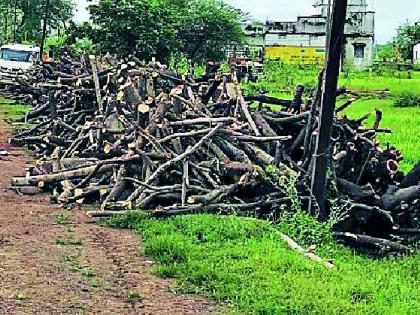 There will be a slaughter of 397 trees | ३९७ वृक्षांची होणार कत्तल