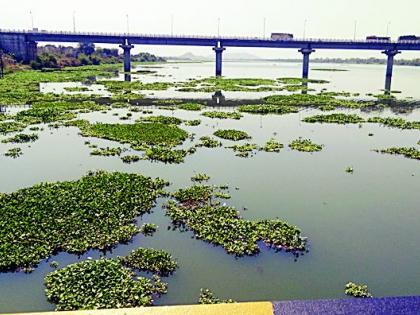 Diwasnapnya is the purification of river Wainganga | वैनगंगा नदीचे शुद्धीकरण ठरले दिवास्वप्न