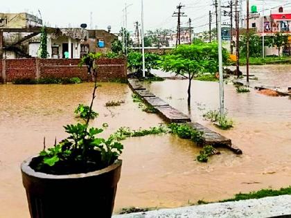 Presence of rain in some parts of the district, paddy belt is dry | जिल्ह्यातील काही भागात पावसाची हजेरी, धानपट्टा कोरडाच Presence of rain in some parts of the district, paddy belt is dry | जिल्ह्यातील काही भागात पावसाची हजेरी, धानपट्टा कोरडाच