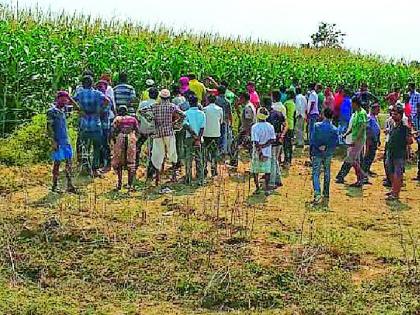 Death of two farmers with the touch of live strings | जीवंत तारांच्या स्पर्शाने दोन शेतकऱ्यांचा मृत्यू