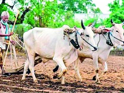 Kharif planning on 2.14 lakh hectares | 2.14 लाख हेक्टरवर खरिपाचे नियोजन Kharif planning on 2.14 lakh hectares | 2.14 लाख हेक्टरवर खरिपाचे नियोजन