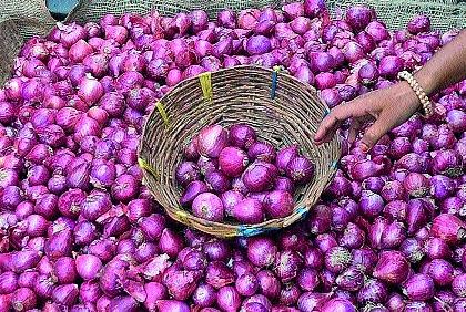 Onion prices continue to fall | कांदा दरात घसरण सुरुच