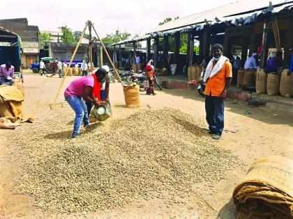 Groundnut prices go up by Rs 1,000 a month | भुईमुगाला एका महिन्यात १००० रूपयांची भाववाढ