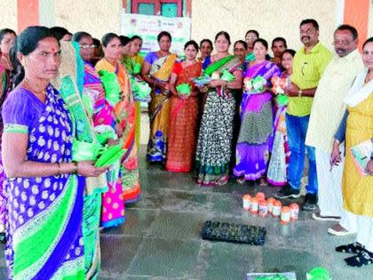 Free distribution of pesticides by the Department of Agriculture in Lohinghawe | लोहशिंगवेत कृषी विभागातर्फे कीटकनाशकांचे मोफत वाटप