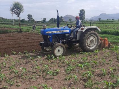 Military larvae attack maize crop | मका पिकावर लष्करी अळीचा हल्ला