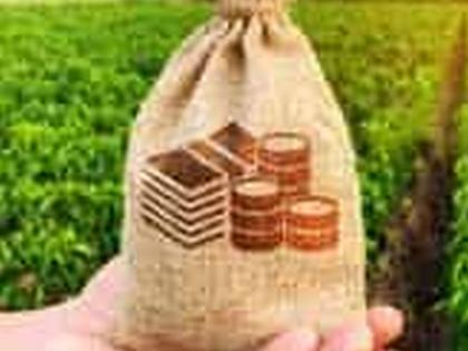 Accelerate the debt forgiveness process by taking biometric ‘thumbs’ | बायोमेट्रीक ‘थंब’ घेत कर्जमाफी प्रक्रियेला गती Accelerate the debt forgiveness process by taking biometric ‘thumbs’ | बायोमेट्रीक ‘थंब’ घेत कर्जमाफी प्रक्रियेला गती