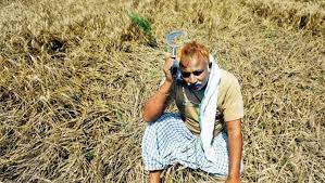 Farmers angry over faulty seeds | बियाणे सदोष निघाल्याने शेतकरी संतप्त