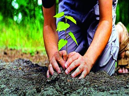 Government Orders: Witnessing of 'Tree of Life' will be planted trees for pleasure and pain | शासनाचे आदेश : ‘वृक्षांची जोपासना हीच निसर्गाची उपासना’ योजना सुख-दु:खात वृक्षांची रोपे होणार साक्षीदार