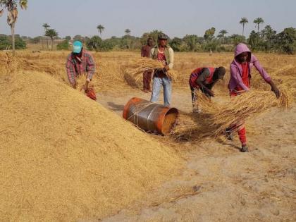 Irregularities in government procurement of paddy in Gondia | गोंदियात शासकीय धान खरेदीत अनियमितता