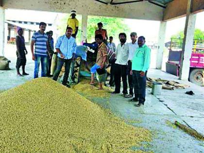 The purchase of the grain rejected by the software in Amravati Market Committee | अमरावती बाजार समितीतील सॉफ्टवेअरने नाकारली शेतमालाची खरेदी