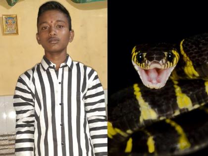 A 15-year-old boy in Kalyan dies due to snakebite | सर्पदंशामुळे कल्याणमधील एका 15 वर्षीय मुलाचा मृत्यू