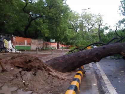 A tree fell on a house in Madkai, destroying the house, two injured | मडकई येथे राहत्या घरावर झाड पडून घर जमीनदोस्त, दोन जखमी