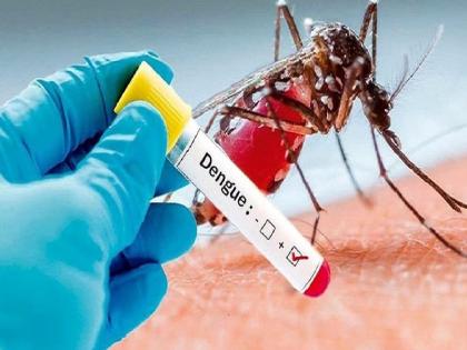 20 'positives' dengue patients in 20 days in gondiya | डेंग्यूचा कहर : काय सांगता, २० दिवसांत २० ‘पॉझिटिव्ह’