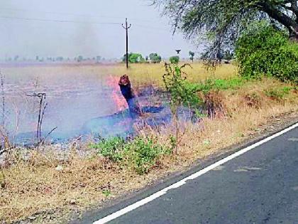 Blaze Fire | धुऱ्यावरील आगीत झाडांचे मरण