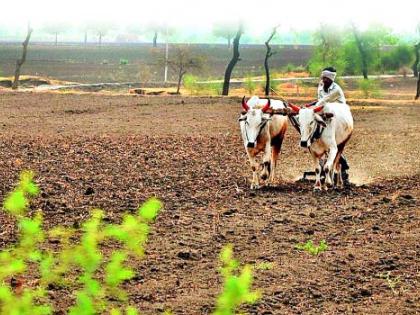 Waiting for a strong rain | दमदार पावसाची प्रतीक्षा