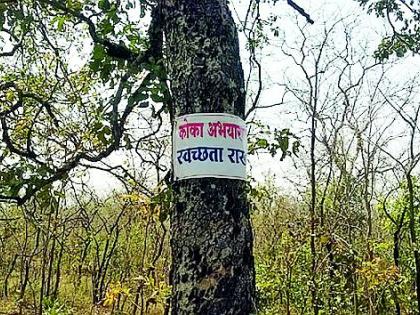 Nails for the trees in the sanctuary | अभयारण्यातील वृक्षांना सूचना फलकांसाठी ठोकले खिळे