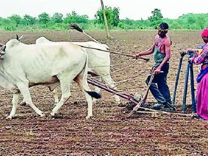 Due to lack of rain, only 9.68 per cent was filled | पावसाअभावी फक्त ९.६८ टक्के पऱ्हे भरले