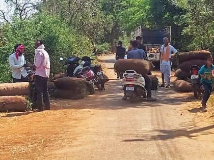 Farmers get low prices in Gadchiroli; The result of the lockdown | गडचिरोलीतील कारली दलालांच्या दावणीला; लॉकडाऊनचा परिणाम