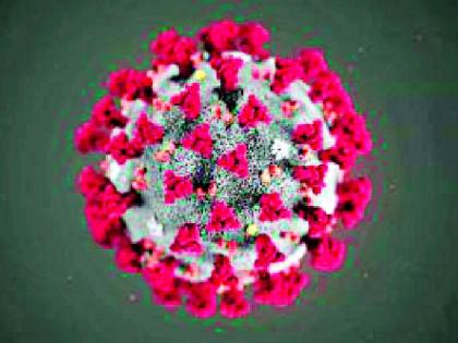 A coroner in the collector's office is infected | जिल्हाधिकारी कार्यालयातील एक जण कोरोना बाधित A coroner in the collector's office is infected | जिल्हाधिकारी कार्यालयातील एक जण कोरोना बाधित