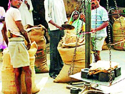 Planting Sugarcane | लागवड उसाची नोंद धानाची!