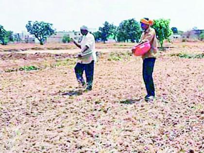 Farmers along with the government are also in crisis | सरकारसह शेतकरीही संकटात, आता कुणाकडे मांडायची समस्या