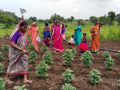  Saving group strengthened wings, revolutionized! | बचतगटाने दिले पंखांना बळ, क्रांती घडविली!