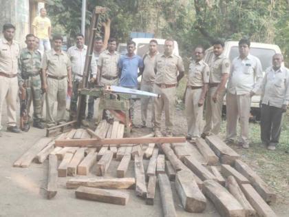 A wooden firewood seized | एक लाखाचा लाकूडसाठा जप्त A wooden firewood seized | एक लाखाचा लाकूडसाठा जप्त
