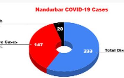 Now Kovid's information is on the website | आता कोविडची माहिती संकेत स्थळावर