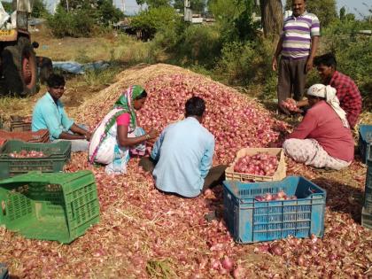 Arrival of summer onion in Pimpalgaon | पिंपळगावी उन्हाळ कांद्याची आवक