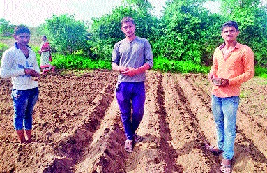 The attraction of educated youth towards agriculture | सुशिक्षित तरुणांची ओढ शेतीकडे