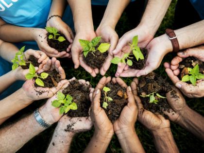 Distribution of 400 trees at Pimparwadi | पिंपरवाडी येथे चारशे झाडांचे वाटप 