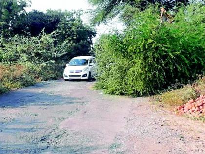 The tree fell on the road for four days | चार दिवसांपासून झाड रस्त्यावरच पडून The tree fell on the road for four days | चार दिवसांपासून झाड रस्त्यावरच पडून